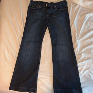 7 For All Mankind 28 inch waist dojo flare.